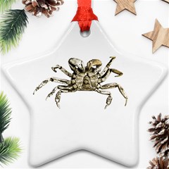 Dark Crab Photo Ornament (star) by dflcprints