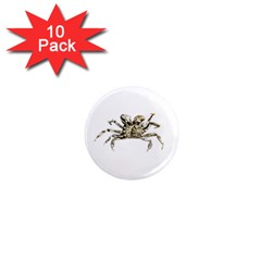 Dark Crab Photo 1  Mini Magnet (10 Pack)  by dflcprints