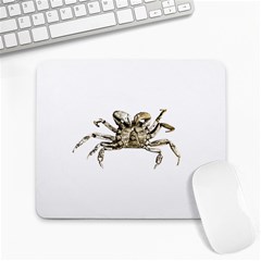 Dark Crab Photo Large Mousepads by dflcprints