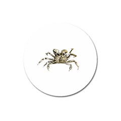 Dark Crab Photo Magnet 3  (round) by dflcprints