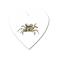 Dark Crab Photo Heart Magnet by dflcprints