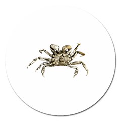 Dark Crab Photo Magnet 5  (round) by dflcprints