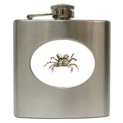 Dark Crab Photo Hip Flask (6 Oz) by dflcprints