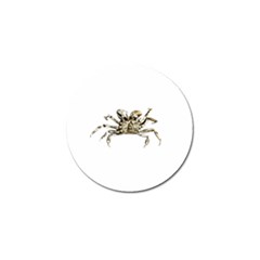 Dark Crab Photo Golf Ball Marker by dflcprints