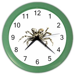 Dark Crab Photo Color Wall Clocks by dflcprints