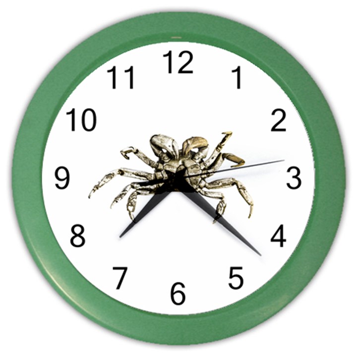 Dark Crab Photo Color Wall Clocks