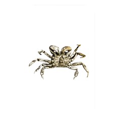 Dark Crab Photo Memory Card Reader by dflcprints