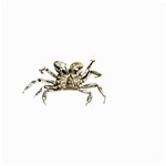 Dark Crab Photo Small Garden Flag (Two Sides) Front