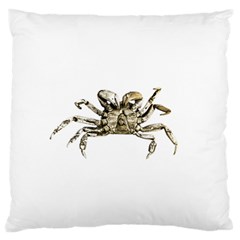 Dark Crab Photo Standard Flano Cushion Case (one Side) by dflcprints