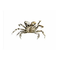 Dark Crab Photo Double Sided Flano Blanket (mini)  by dflcprints