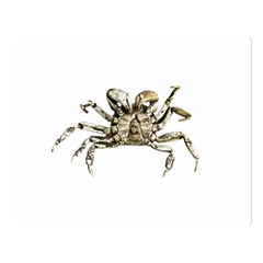 Dark Crab Photo Double Sided Flano Blanket (large)  by dflcprints