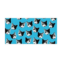 Cat Pattern Yoga Headband