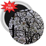 Blossom 3  Magnets (10 pack)  Front