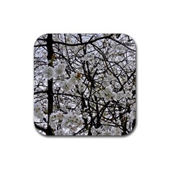 Blossom Rubber Coaster (square)  by DeneWestUK