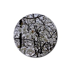 Blossom Rubber Round Coaster (4 Pack)  by DeneWestUK