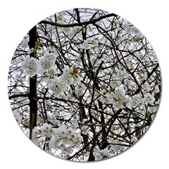 Blossom Magnet 5  (round)