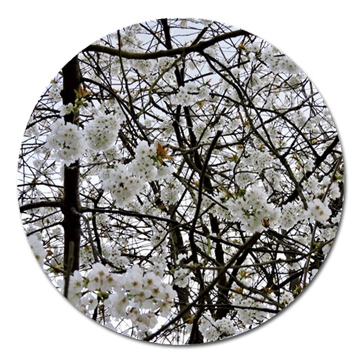 Blossom Magnet 5  (Round)