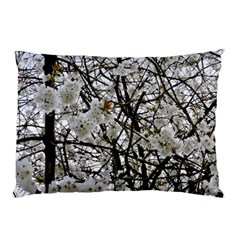 Blossom Pillow Case