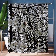 Blossom Shower Curtain 60  X 72  (medium)  by DeneWestUK