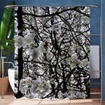 Blossom Shower Curtain 60  x 72  (Medium)  60 x72  Curtain