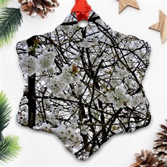 Blossom Ornament (snowflake)