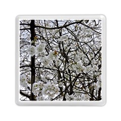 Blossom Memory Card Reader (square) 