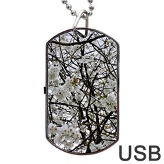 Blossom Dog Tag Usb Flash (two Sides) by DeneWestUK