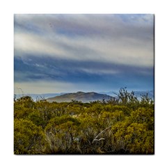 Patagonian Lanscape Scene, Santa Cruz, Argentina Tile Coasters by dflcprints