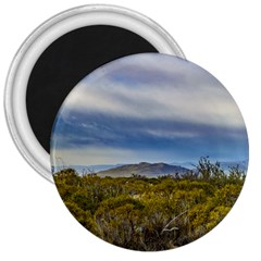 Patagonian Lanscape Scene, Santa Cruz, Argentina 3  Magnets by dflcprints