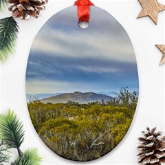 Patagonian Lanscape Scene, Santa Cruz, Argentina Ornament (oval) by dflcprints