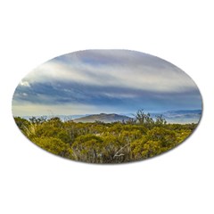 Patagonian Lanscape Scene, Santa Cruz, Argentina Oval Magnet by dflcprints