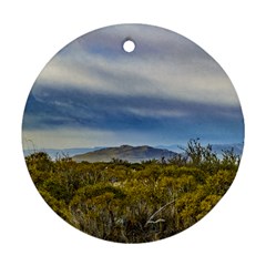 Patagonian Lanscape Scene, Santa Cruz, Argentina Round Ornament (two Sides) by dflcprints