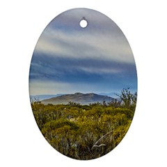 Patagonian Lanscape Scene, Santa Cruz, Argentina Oval Ornament (two Sides) by dflcprints