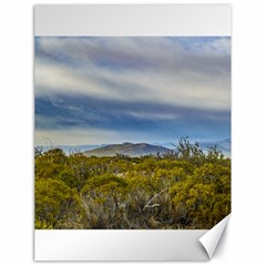 Patagonian Lanscape Scene, Santa Cruz, Argentina Canvas 18  X 24   by dflcprints