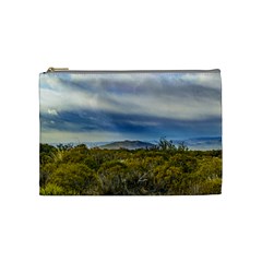 Patagonian Lanscape Scene, Santa Cruz, Argentina Cosmetic Bag (medium)  by dflcprints