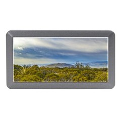 Patagonian Lanscape Scene, Santa Cruz, Argentina Memory Card Reader (mini) by dflcprints