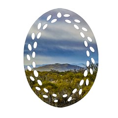 Patagonian Lanscape Scene, Santa Cruz, Argentina Oval Filigree Ornament (two Sides) by dflcprints