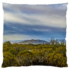 Patagonian Lanscape Scene, Santa Cruz, Argentina Standard Flano Cushion Case (two Sides) by dflcprints