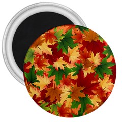 Autumn Leaves 3  Magnets