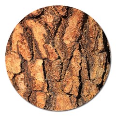 Bark Texture Wood Large Rough Red Wood Outside California Magnet 5  (Round)