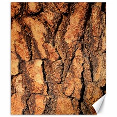 Bark Texture Wood Large Rough Red Wood Outside California Canvas 20  x 24  