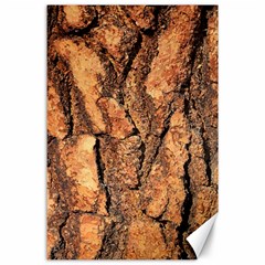 Bark Texture Wood Large Rough Red Wood Outside California Canvas 24  x 36 