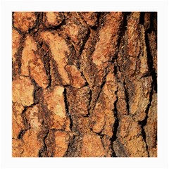 Bark Texture Wood Large Rough Red Wood Outside California Medium Glasses Cloth