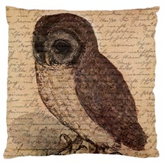 Vintage Owl Large Cushion Case (one Side) by Valentinaart