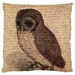 Vintage Owl Standard Flano Cushion Case (one Side) by Valentinaart