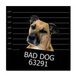 Bed dog Tile Coasters Front