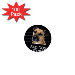 Bed dog 1  Mini Buttons (100 pack) 