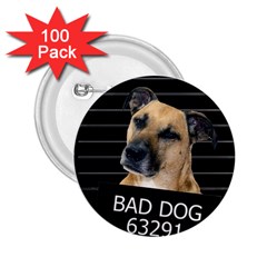 Bed dog 2.25  Buttons (100 pack) 