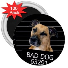 Bed dog 3  Magnets (100 pack)