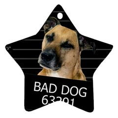 Bed dog Star Ornament (Two Sides)